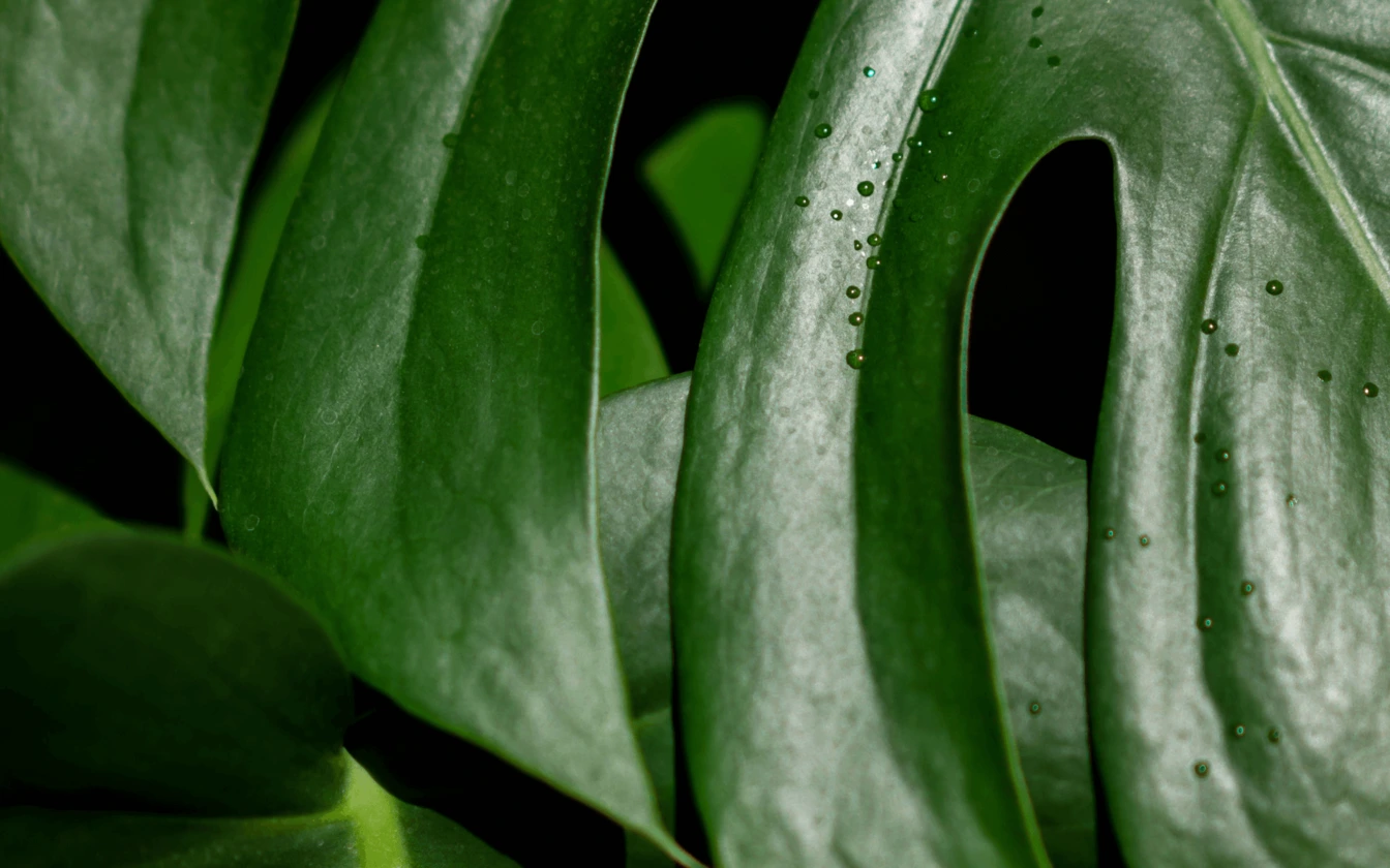 Sustainability in Action: How Influence Recycle is Tackling Overconsumption